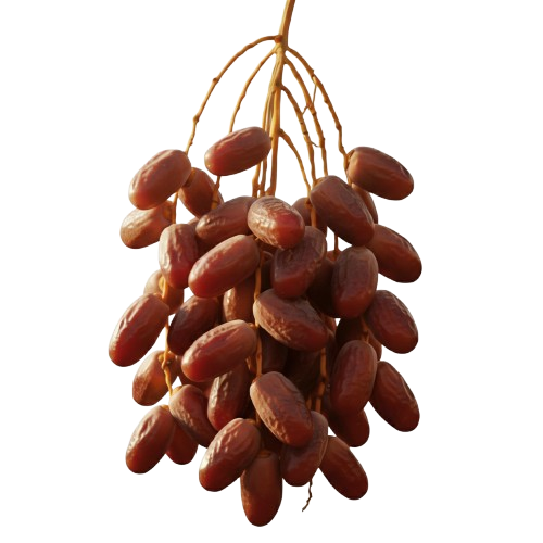 gemini generated image jb8z08jb8z08jb8z 1 removebg preview