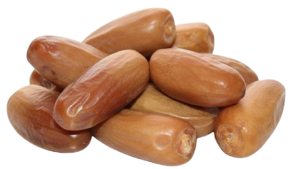 gemini generated image v3k357v3k357v3k3 removebg preview