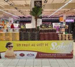 Home 20240216 055051