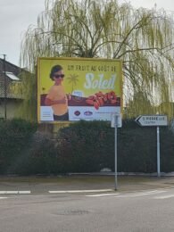 Home - English 20240308 135534