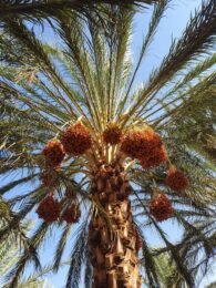 Home - English img 20230909 wa0012