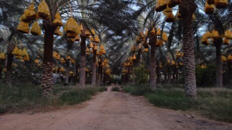 Home - English img 20230927 wa0003