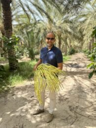 Home - English img 20250508 wa0090